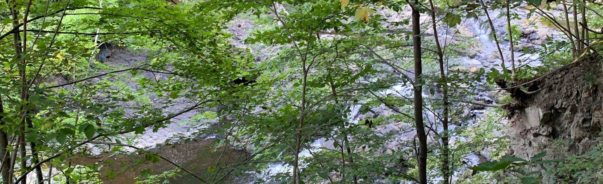 Poestenkill Trail 37 Reviews, Map New York AllTrails