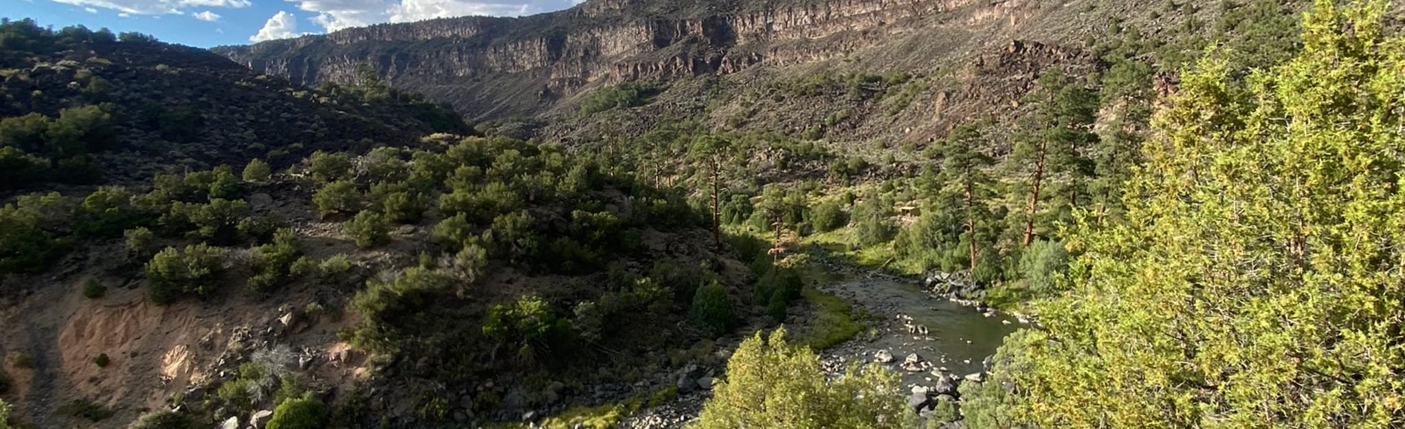 Big Arsenic Trail 225 Reviews, Map New Mexico AllTrails