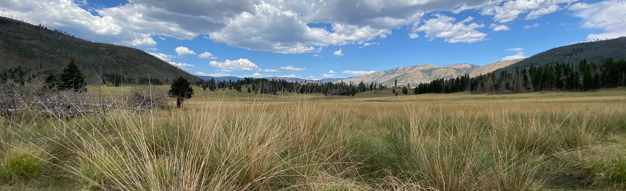 Cerro del Medio Loop, New Mexico - 10 Reviews, Map | AllTrails
