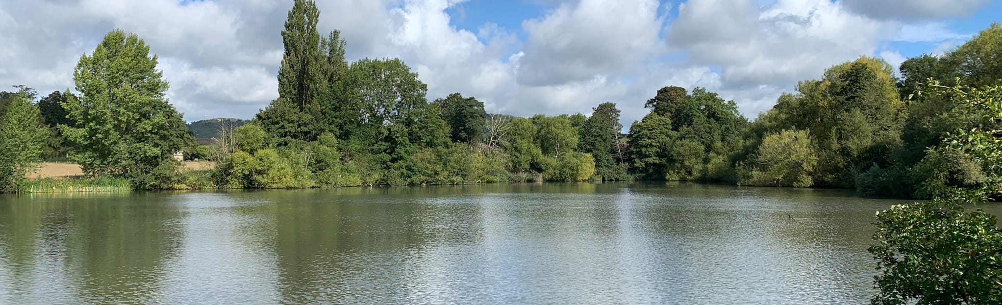 Godstone and Tandridge Circular, Surrey, England - 23 Reviews, Map ...