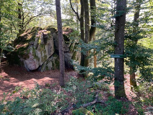 Hirschenstein Berglauf