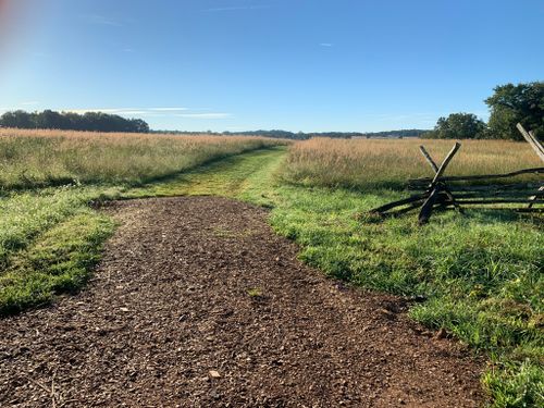 are dogs allowed on battle field trail mass