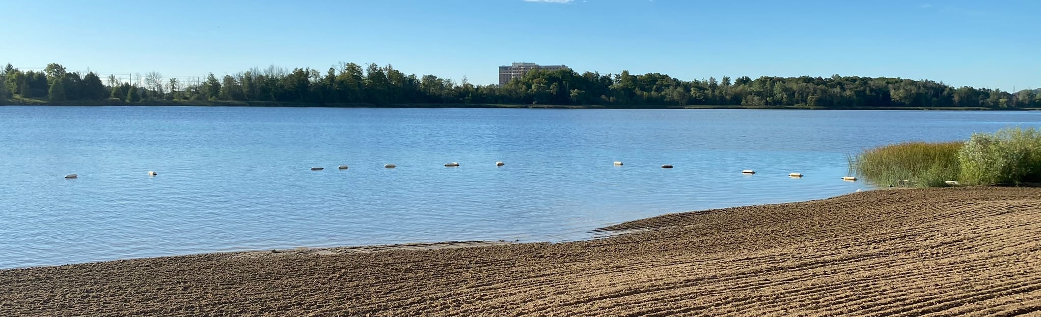 Pine Meadows Trail 92 Reviews, Map Ontario, Canada AllTrails