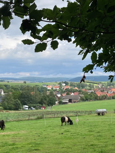 Panoramaweg Rauschenberg (Premiumwanderweg)
