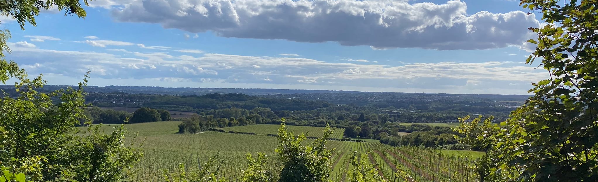 Boxley Warren Woods, Kent, England 16 Reviews, Map AllTrails