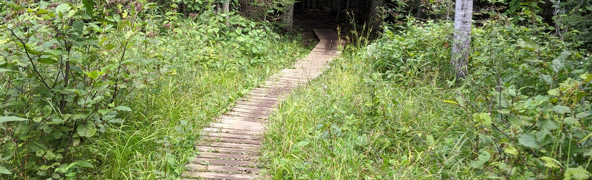 Shuniah Mines Loop, Ontario, Canada 47 Reviews, Map AllTrails