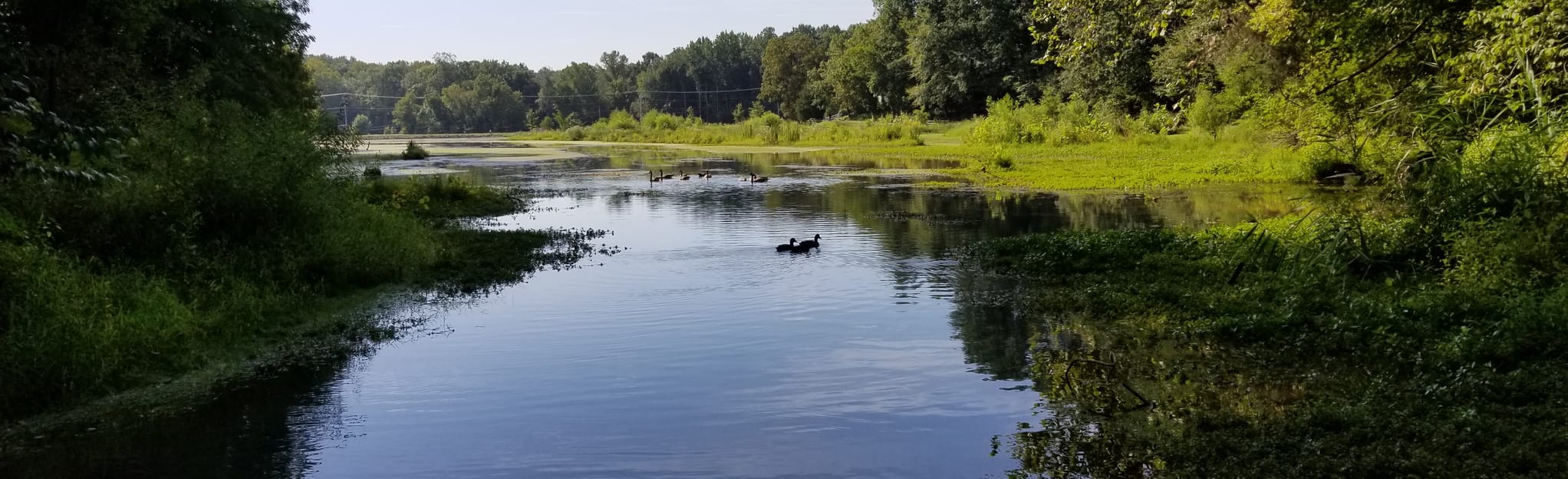 Dunbar Cave Short Loop, Tennessee 229 Reviews, Map AllTrails