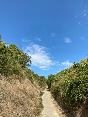 RheinTerrassenWeg Etappe 4: Guntersblum - Ludwigshöhe - Dienheim - Oppenheim