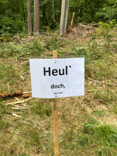 Panoramaweg Rauschenberg (Premiumwanderweg)