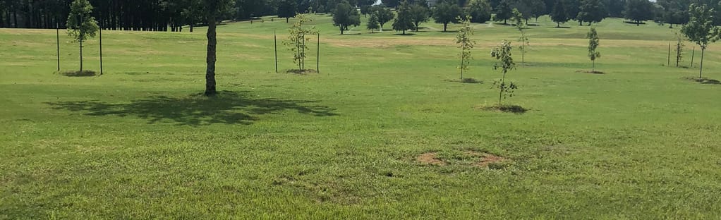 John Hunt Loop: 91 Reviews, Map - Alabama | AllTrails