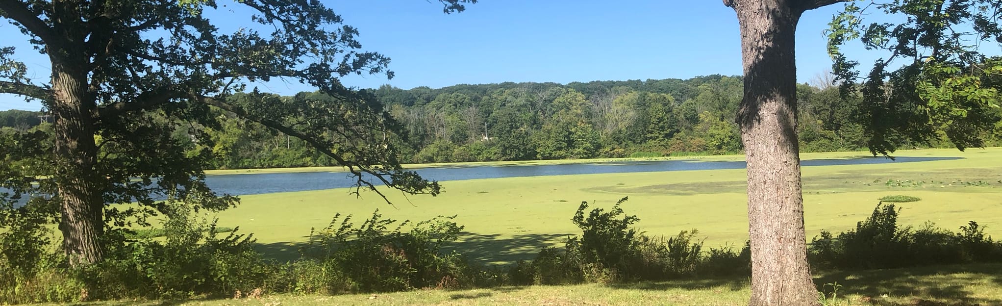 McKinley Woods KSG South, Illinois 20 Reviews, Map AllTrails