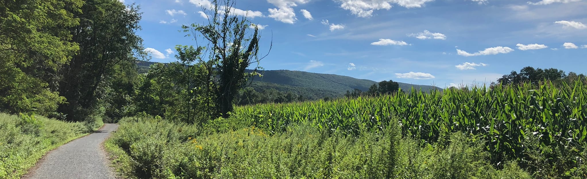 McDade Trail South Map, Guide Pennsylvania AllTrails
