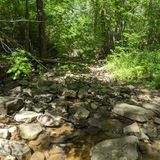 The Tuscarora Trail from Sleepy Creek Lake, West Virginia - 31 Reviews ...