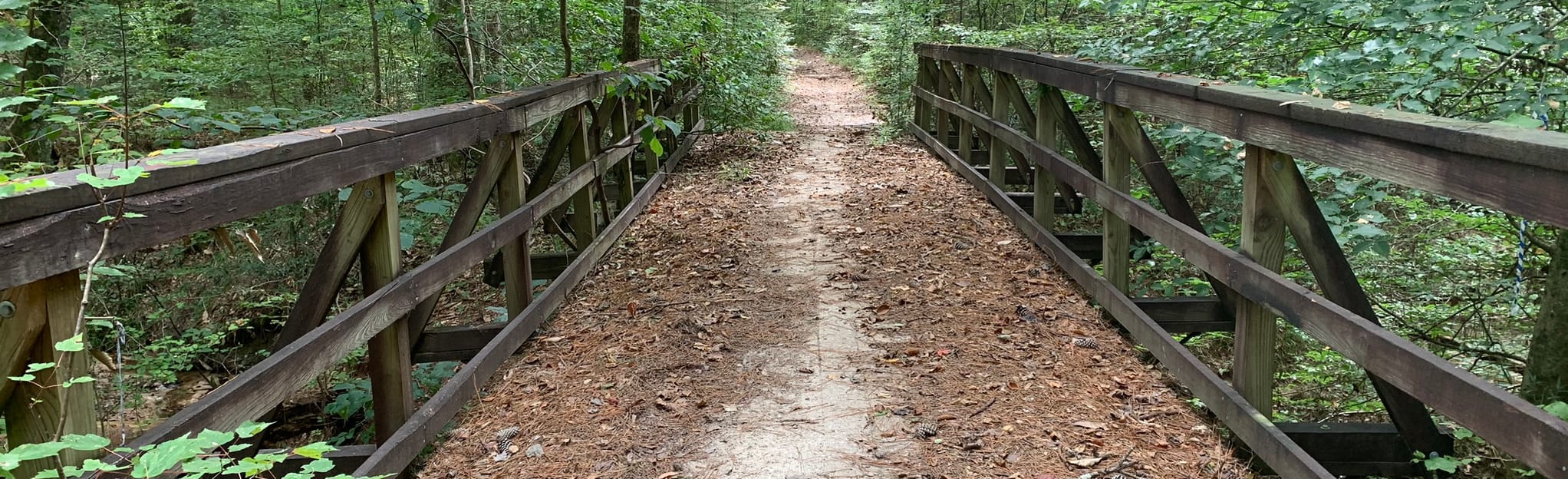 Brushy Creek Loop 36 Reviews, Map Mississippi AllTrails