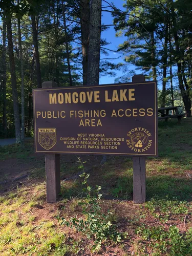 Best Hikes and Trails in Moncove Lake State Park | AllTrails