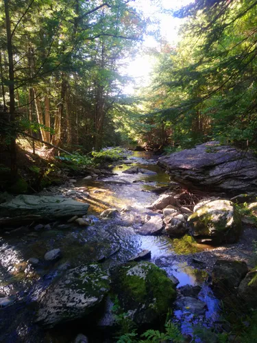 Best Waterfall Trails in Kinnear's Mills | AllTrails