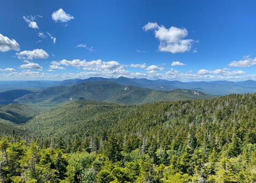 are dogs allowed hiking trails white mountains