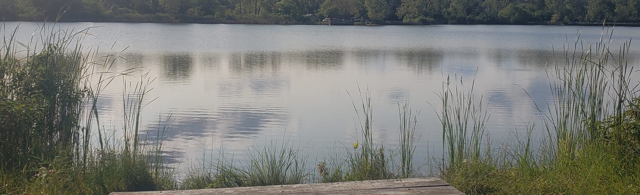 Sand Pond, Illinois 12 Reviews, Map AllTrails