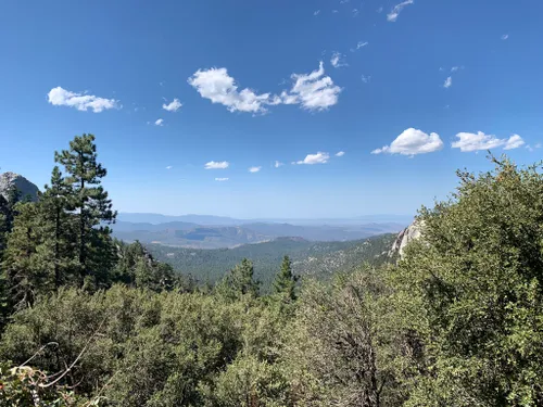 10 Best Trails and Hikes in Idyllwild-Pine Cove | AllTrails