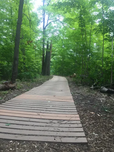 10 Best Trails and Hikes in Mississauga | AllTrails