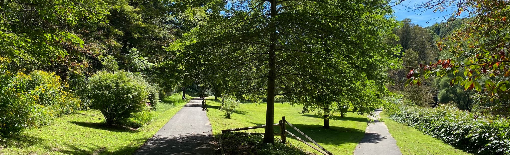 Lansing Creeper Trail, North Carolina 20 Reviews, Map AllTrails