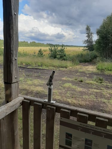 Kleine Runde im Provinzialmoor