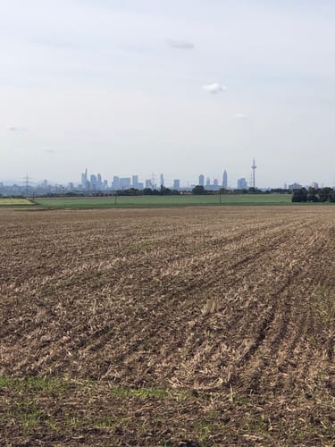 Friedrichsdorf ab Regionalpark Niddaroute