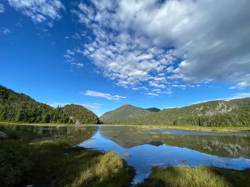 Dog friendly hikes clearance adirondacks