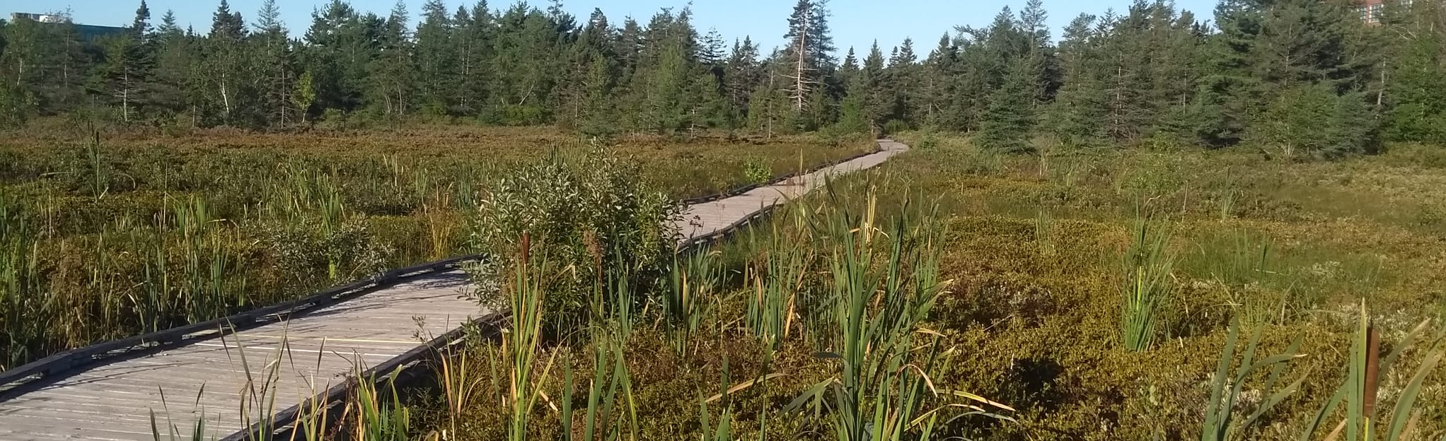 Spectacle Lake Trail 186 Fotos Nova Scotia, Kanada AllTrails