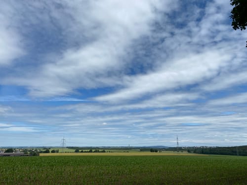 Limbach-Oberfrohna - Hoher Hain