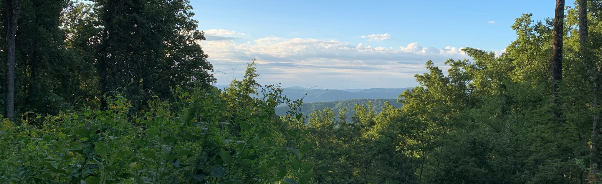 BRMC NickaJack Trail [PRIVATE PROPERTY] 45 Reviews, Map North