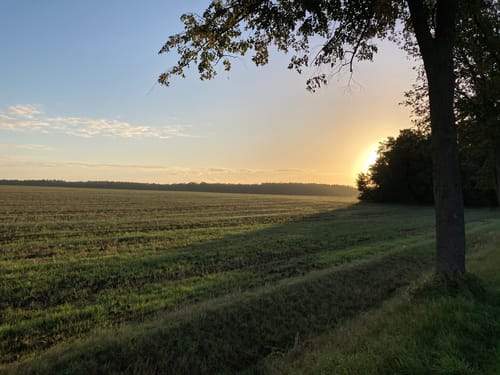 Pilgerweg Bad Wilsnack 6 (Klein Leppin nach Bad Wilsnack)