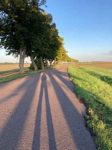 Pilgerweg Bad Wilsnack 6 (Klein Leppin nach Bad Wilsnack)