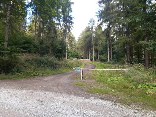 Auf dem Deister-Kamm von Springe nach Bantorf