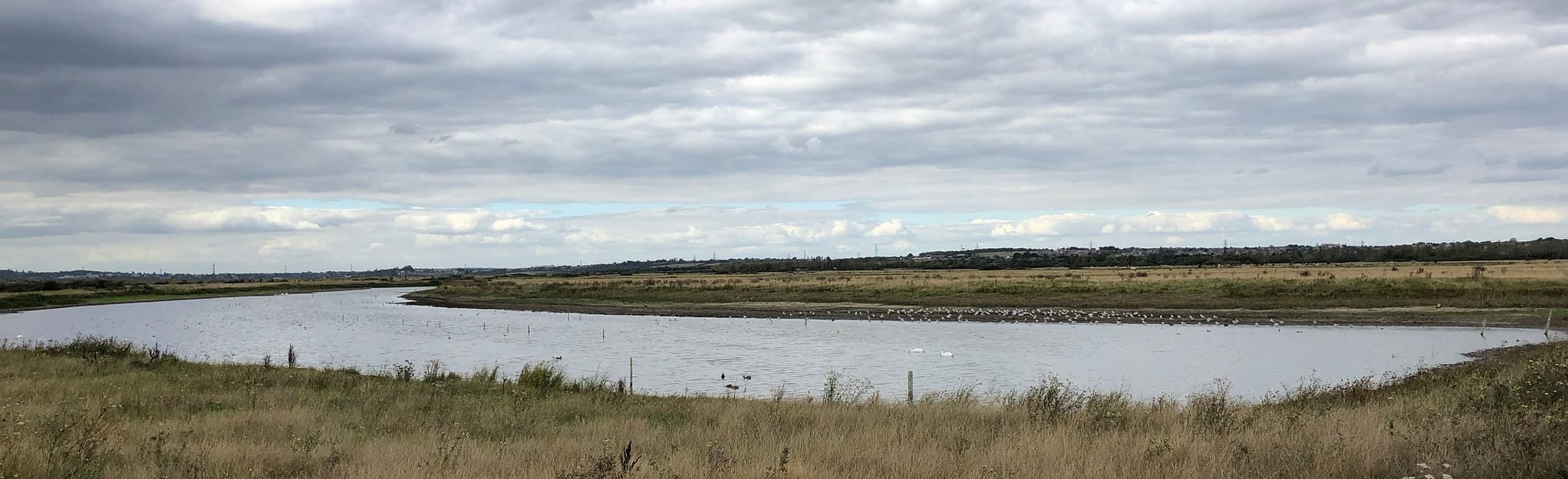 royal-society-for-the-protection-of-birds-west-canvey-marsh-5-reviews