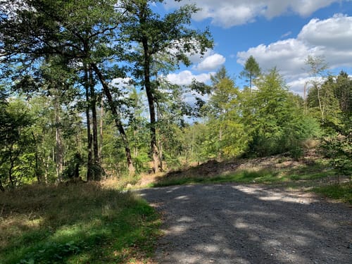 Friedrichsdorf nach Saalburg