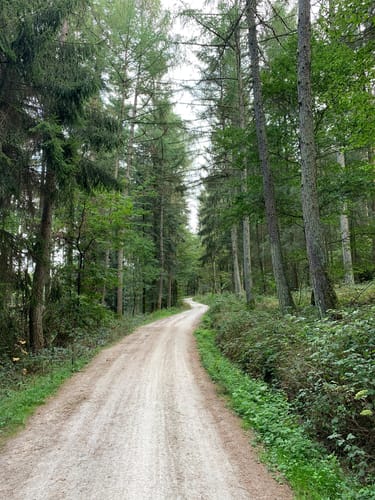 Friedrichsdorf nach Saalburg
