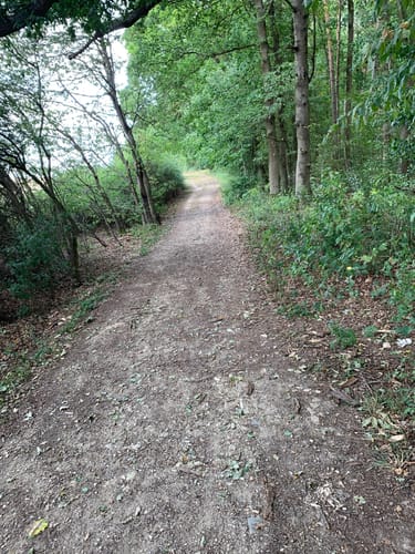 Märchenwald Burgschwalbach