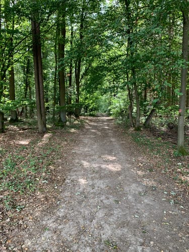 Märchenwald Burgschwalbach