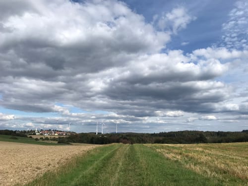 Im Wisper Outback (Premiumwanderweg)