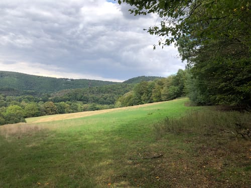 Zwischen Zerkall und Rurtalsperre