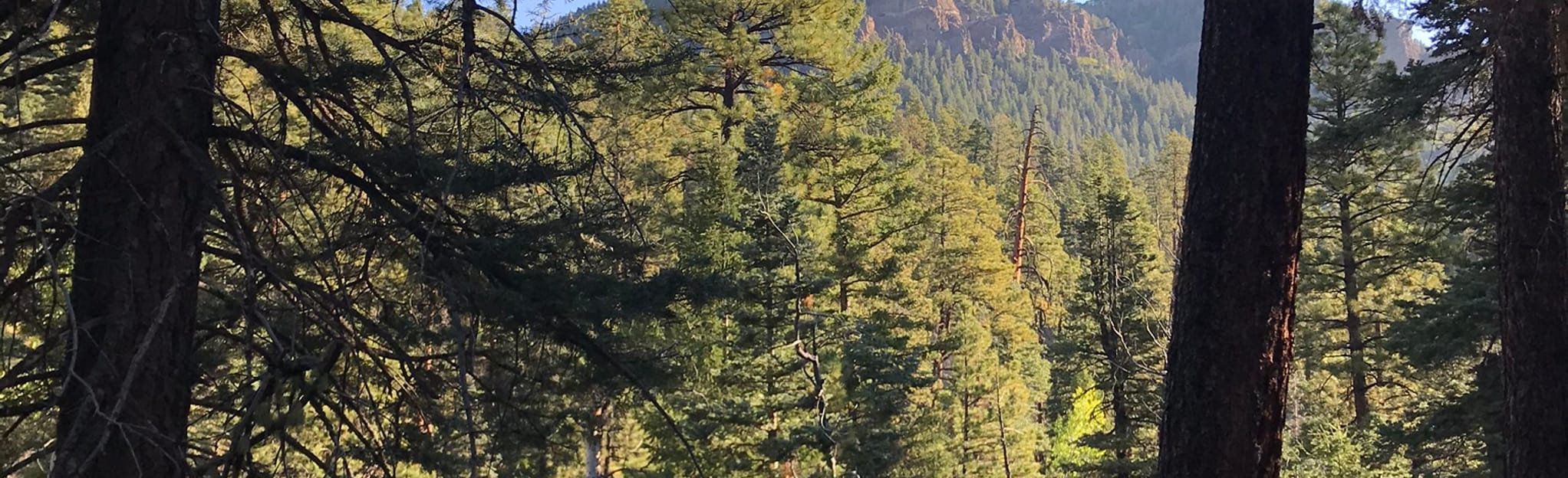 Coal Creek Trail OutandBack, Colorado 50 Reviews, Map AllTrails