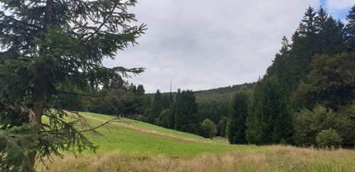 Rennsteigabschnitt über die Grenzwiesen