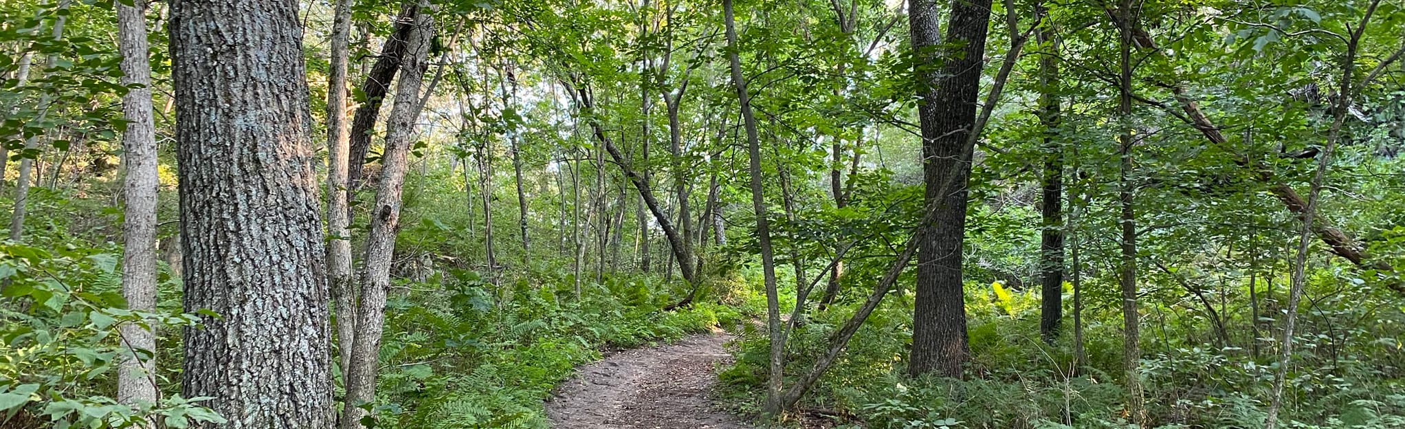 Donald County Southern Range Loop, Wisconsin 416 Reviews, Map AllTrails
