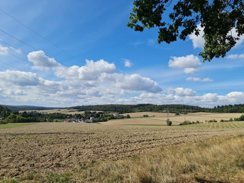 Um Niederrod ab Oberrod