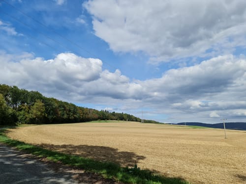 Um Niederrod ab Oberrod