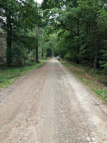 Rundwanderweg Waldville A35
