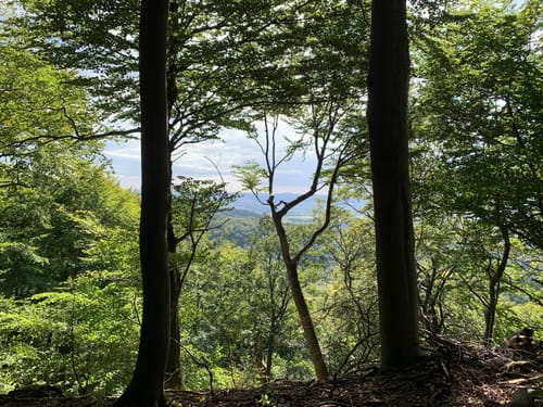 HO7 - Hohenstein Route