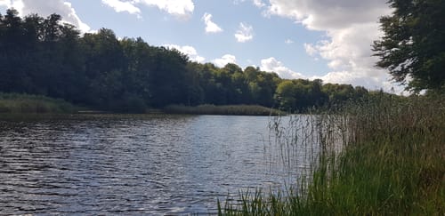 Rund um den Blumenthalsee