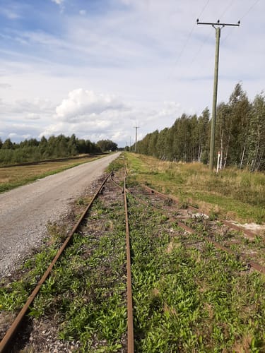 Kleine Runde im Provinzialmoor